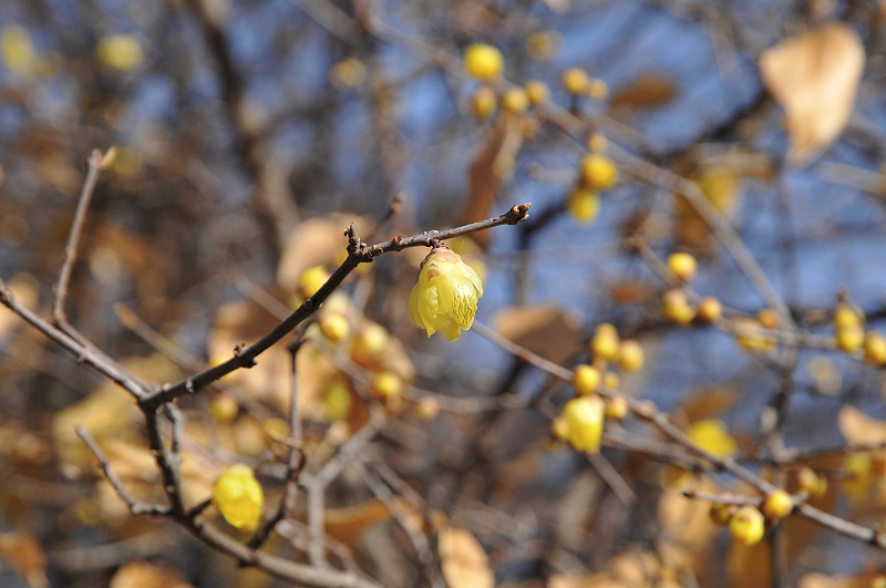 image0117