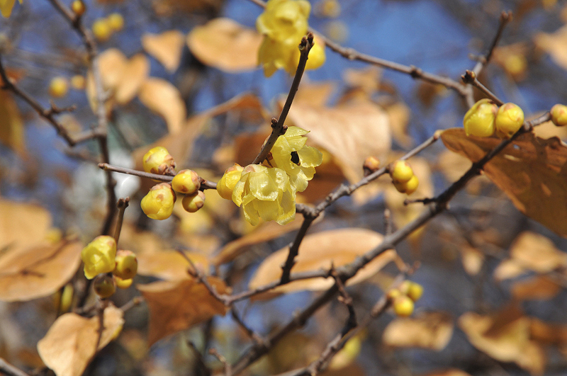 image0128