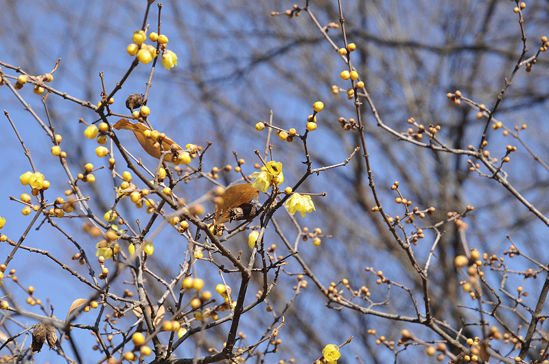image0131