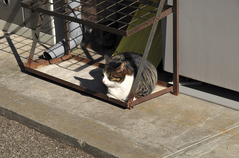 image0135