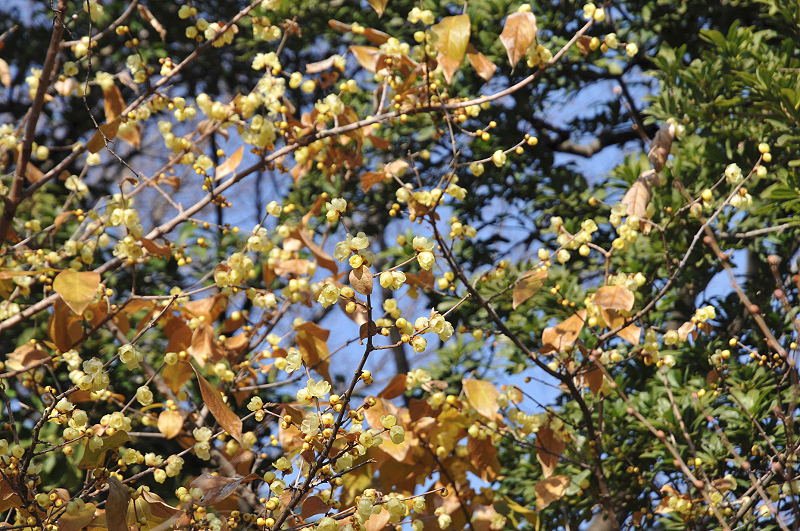 image0145