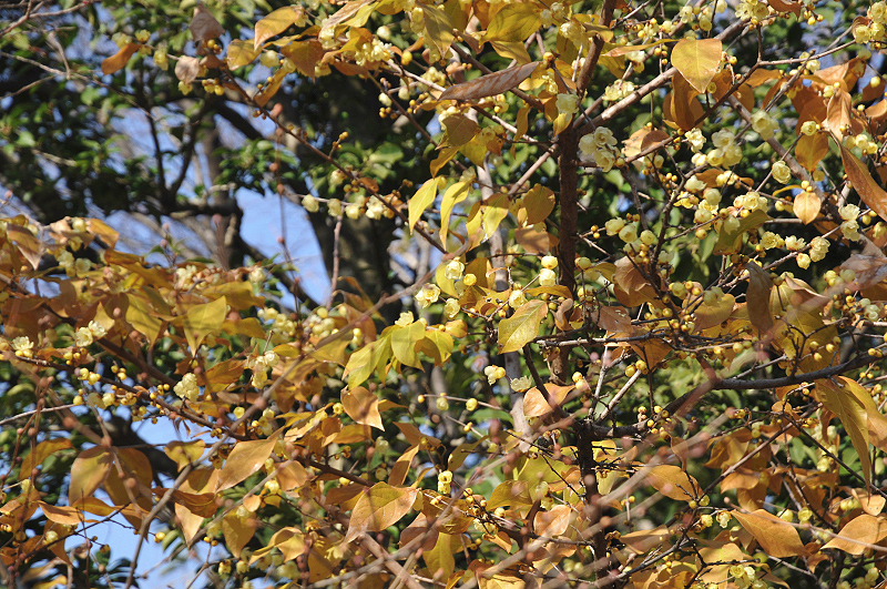 image0147