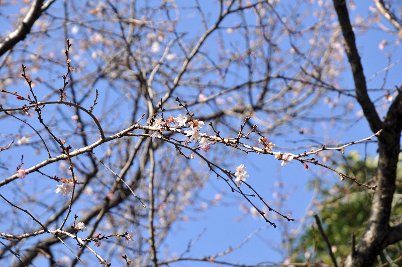 image0153
