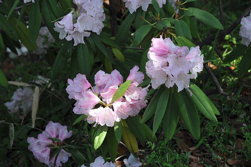 image0047
