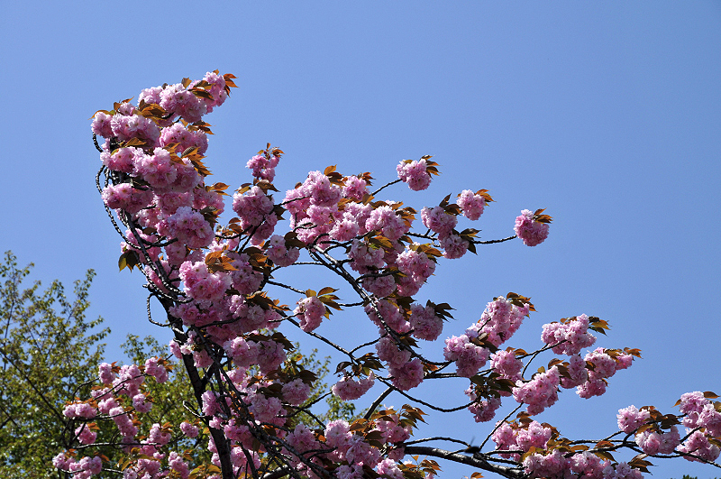 image0097