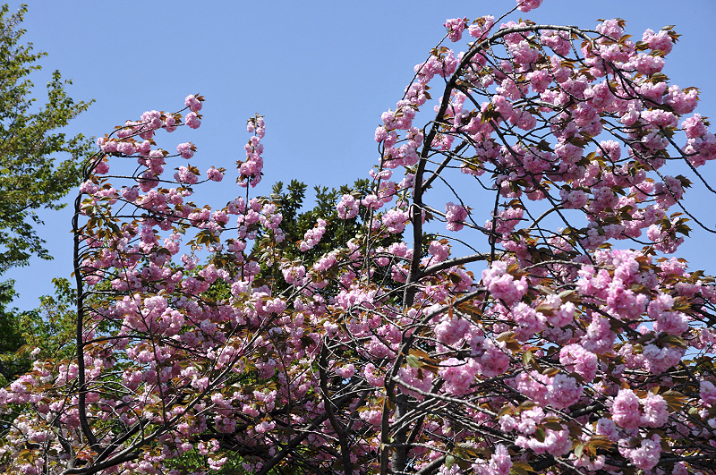image0100