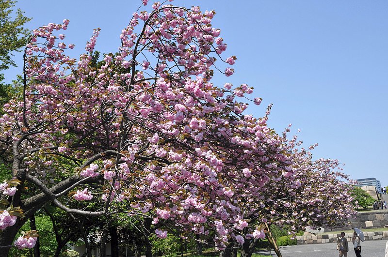 image0101