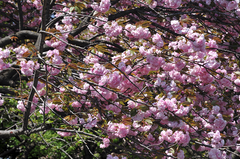 image0102