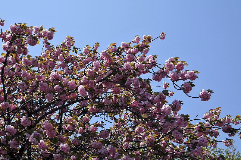 image0103