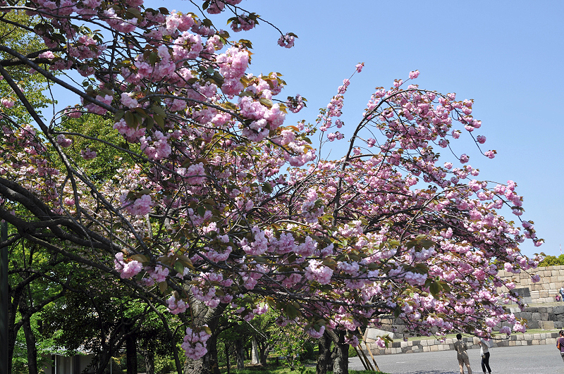 image0104