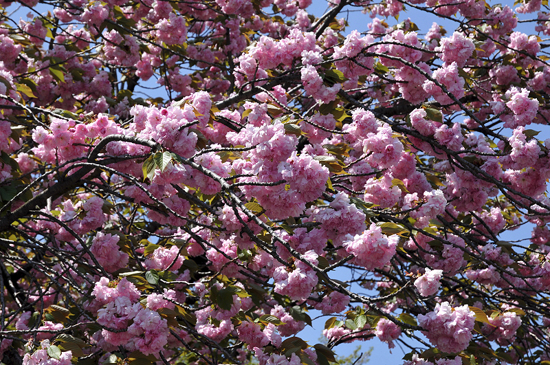 image0105