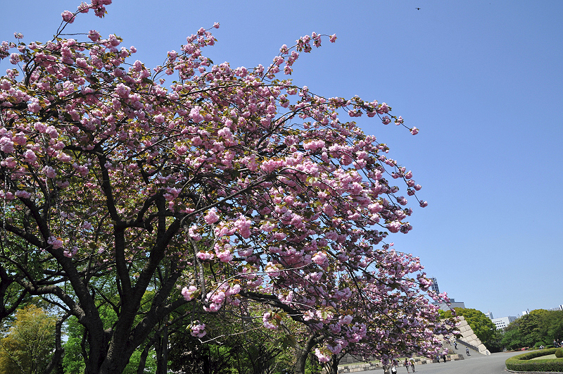 image0106