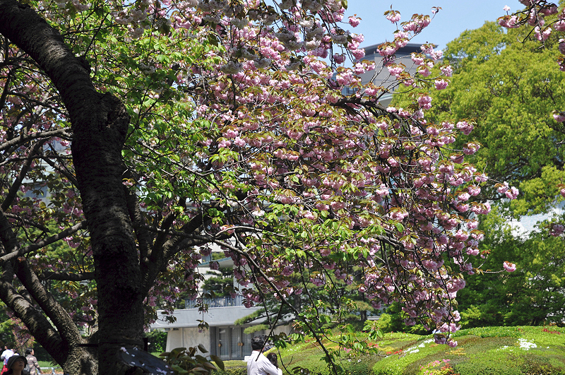 image0111