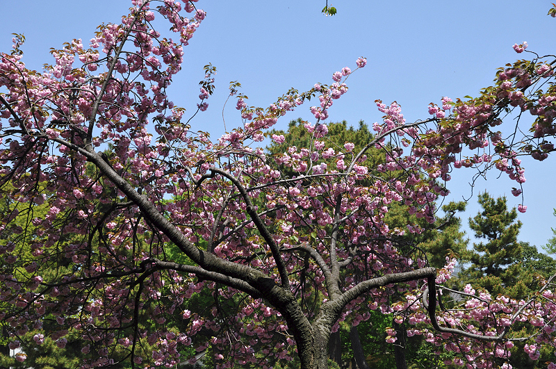 image0112