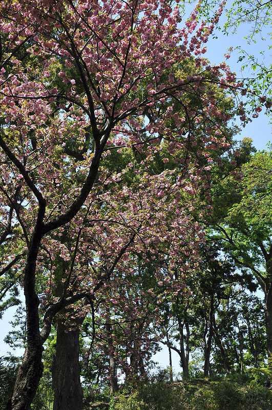 image0113