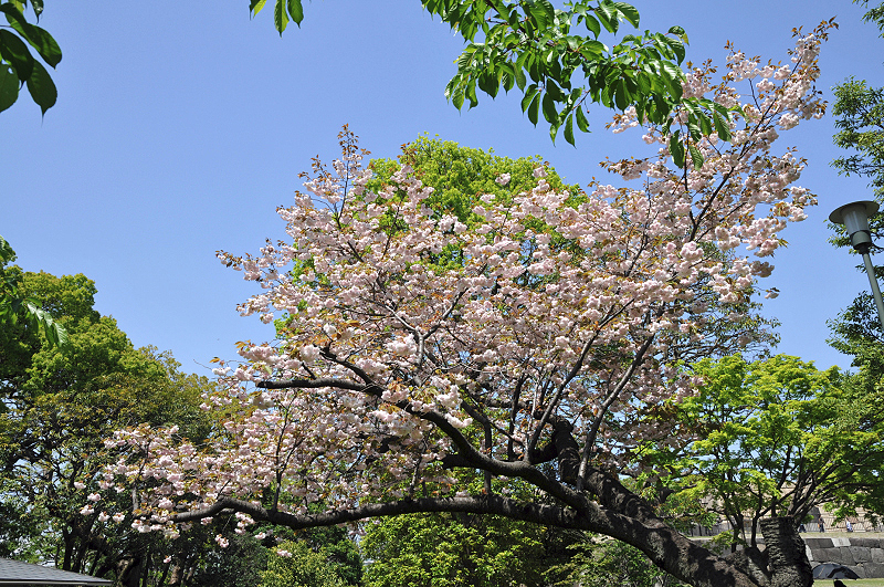 image0115