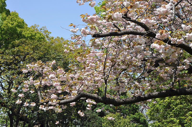 image0117