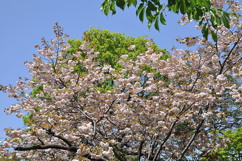 image0118