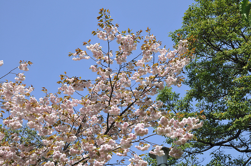 image0119