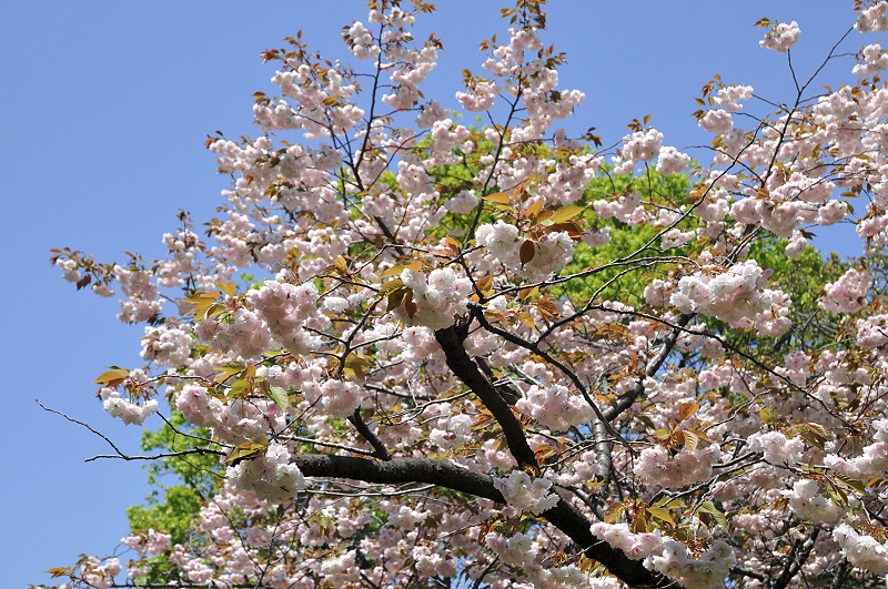 image0120