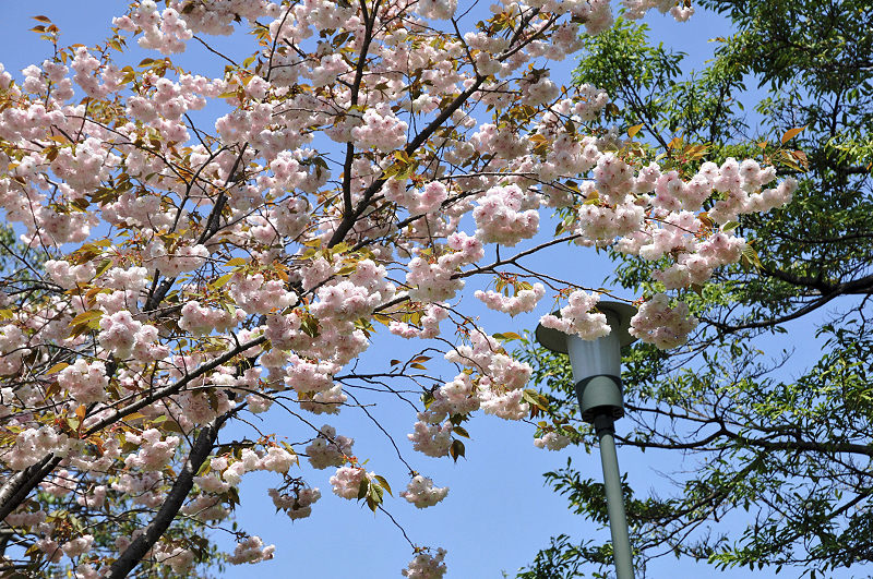 image0121