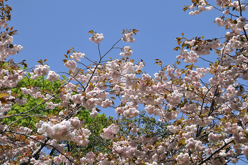 image0122