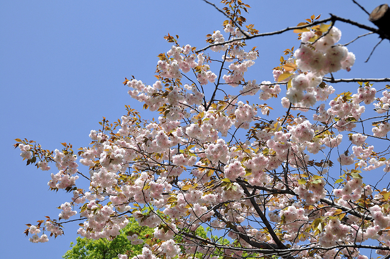 image0123