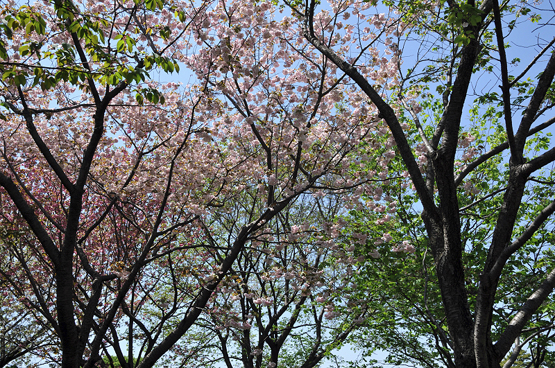 image0124