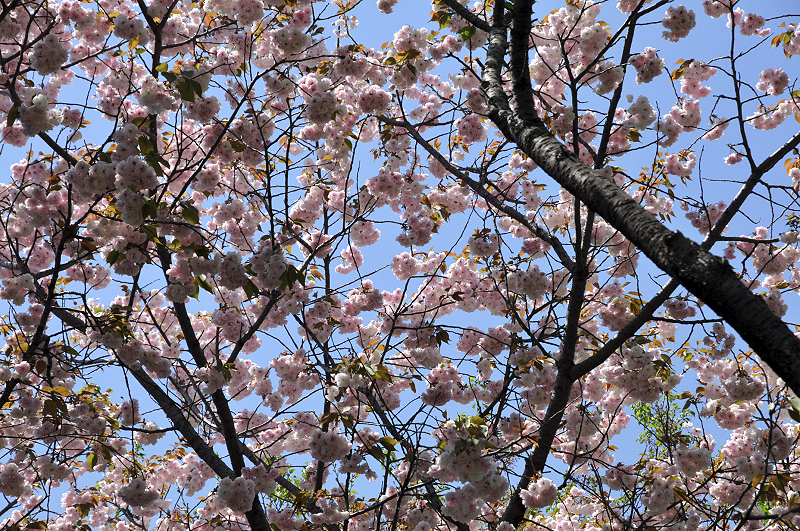 image0126