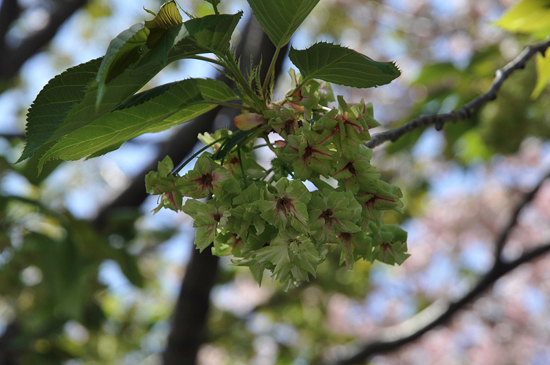 image0129