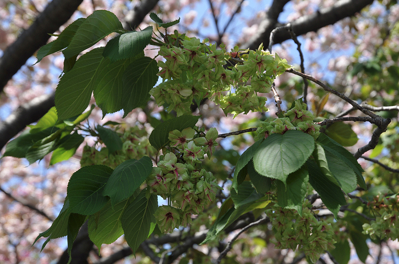 image0130