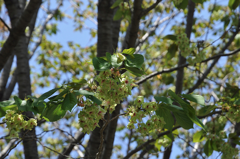image0138