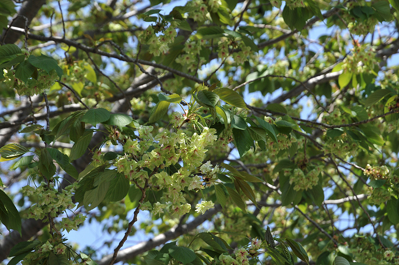 image0139
