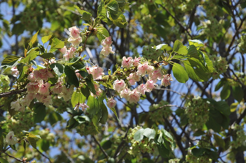 image0140