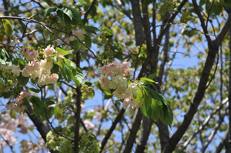 image0141