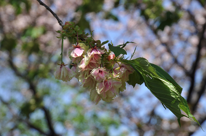 image0142