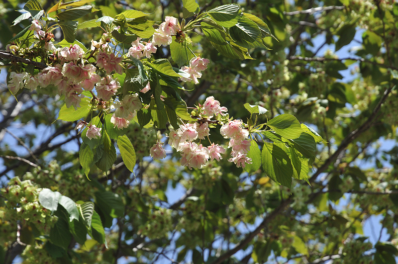 image0143