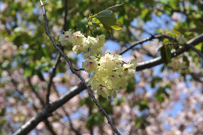 image0144