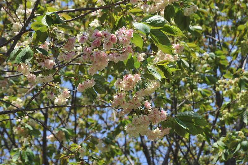 image0145