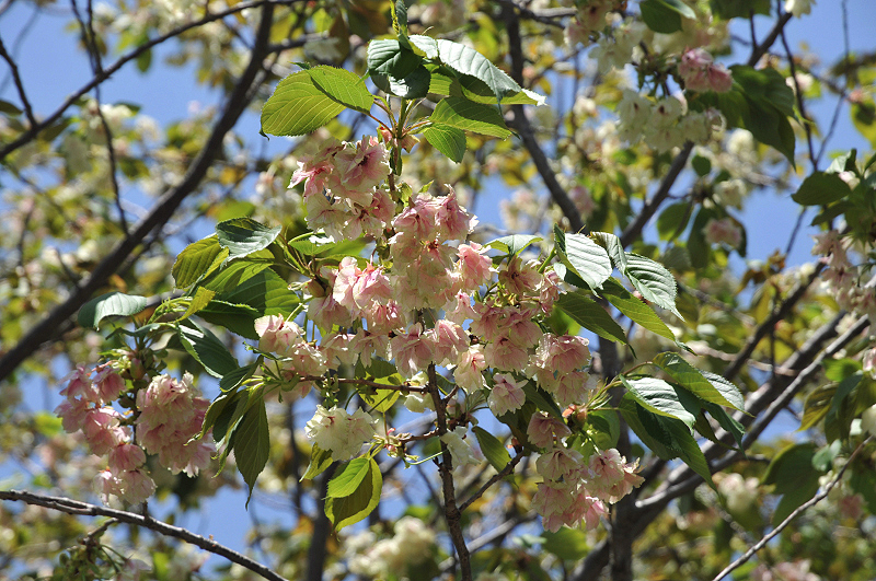 image0146
