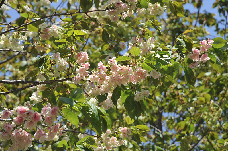 image0147