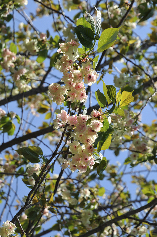 image0148
