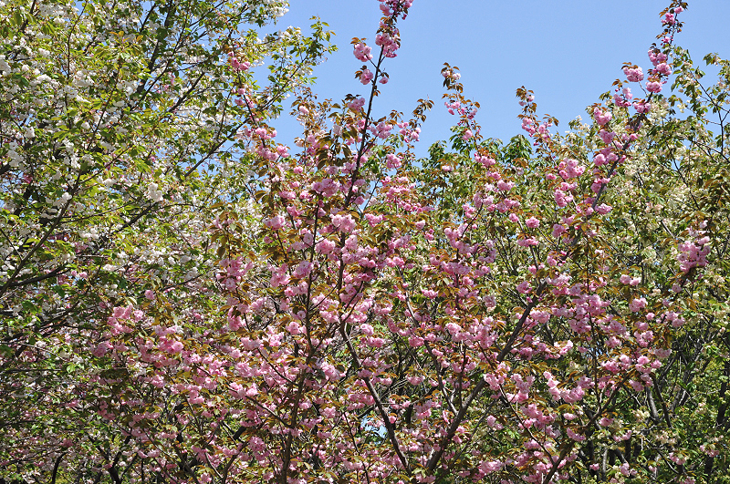image0150