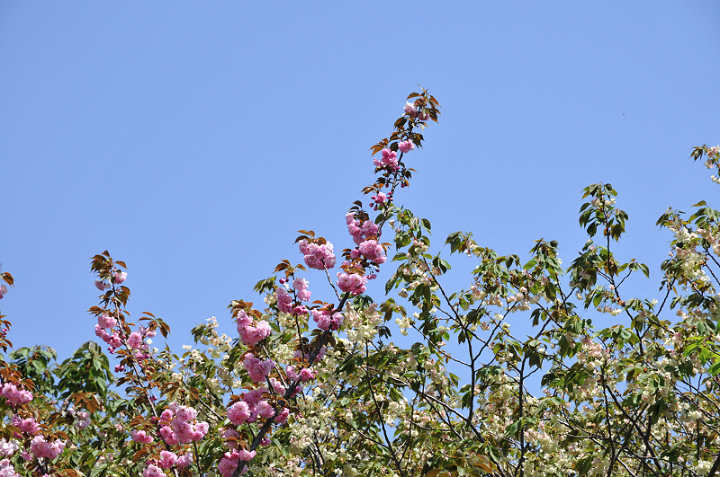 image0151