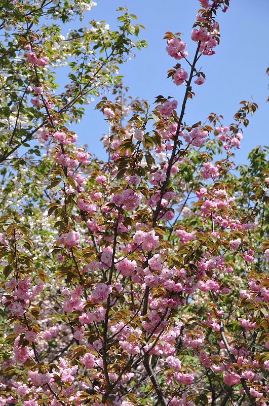 image0152