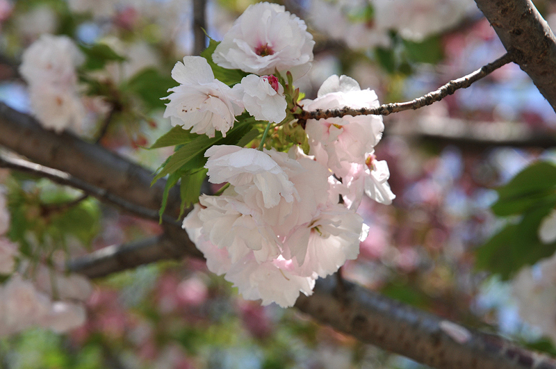 image0154