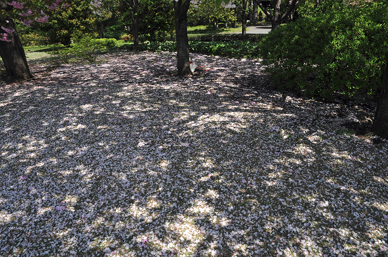image0155