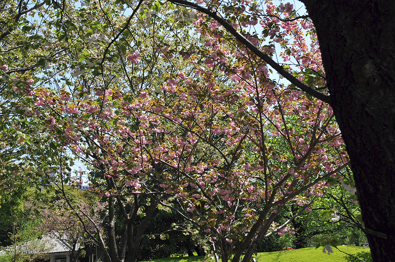 image0157