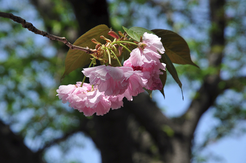 image0159