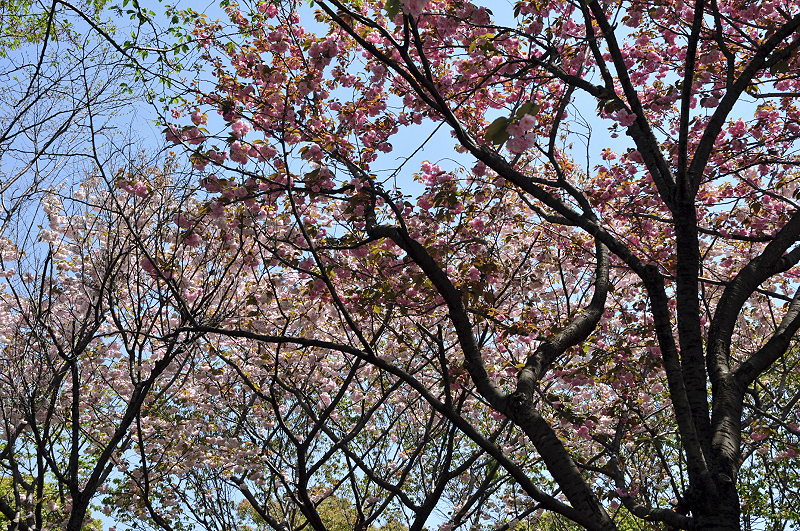 image0161